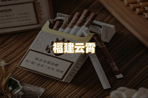 福建云霄